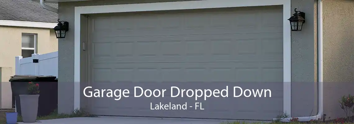 Garage Door Dropped Down Lakeland - FL