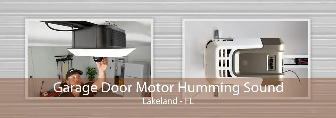 Garage Door Motor Humming Sound Lakeland - FL