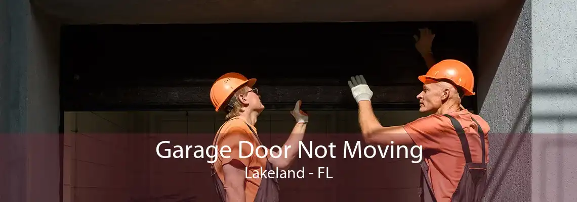 Garage Door Not Moving Lakeland - FL