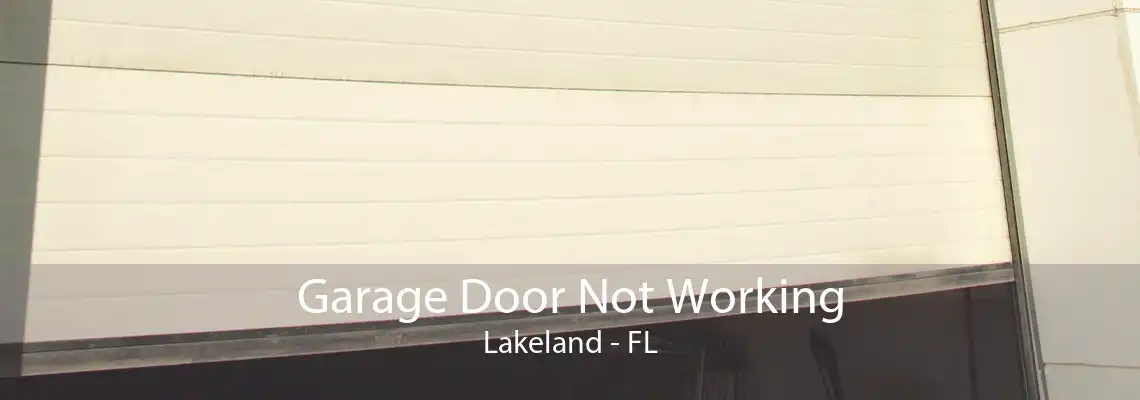 Garage Door Not Working Lakeland - FL