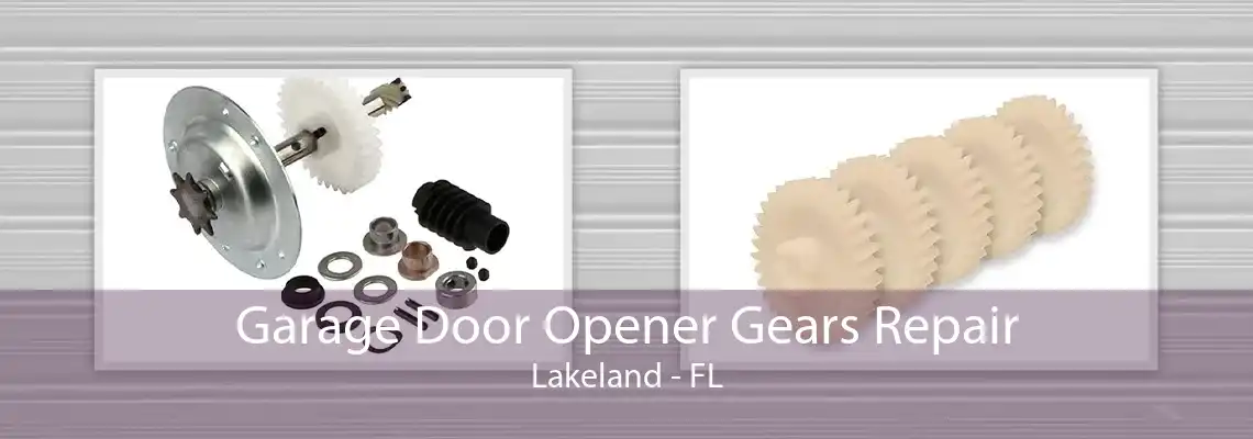 Garage Door Opener Gears Repair Lakeland - FL