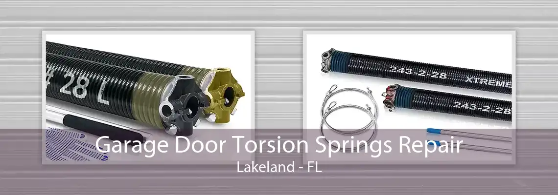 Garage Door Torsion Springs Repair Lakeland - FL