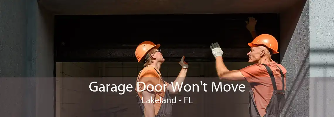 Garage Door Won't Move Lakeland - FL